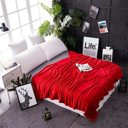 Soft Blanket for Fall Winter Spring All Season Thicken Warm Fuzzy Microplush Lightweight