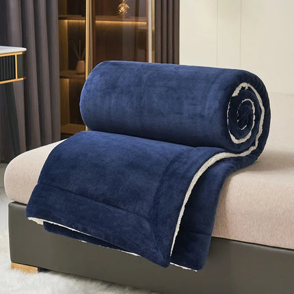Winter Warm Blanket Mechanical Wash Double Layer Queen Blankets for Beds