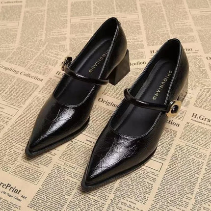 Premium Leather Mary Janes - French Vintage Pointed Toe Pumps Chunky Heel