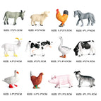 12pcs 3