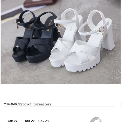 Sandals for Women One Word Summer 2024 Block Heel Ladies Shoes Wedge with Platform Waterproof Footwear Chunky Super-high Beige