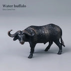 Buffalo
