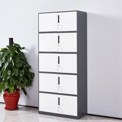 Kitchen Modern Filing Cabinet Living Room White Metal Locker Cabinet Medicine Office Garage Bureau Meuble Furniture Home