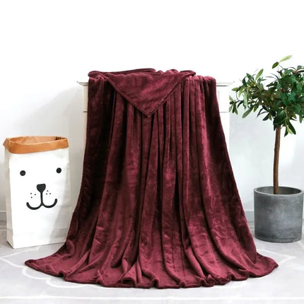 Soft Blanket for Fall Winter Spring All Season Thicken Warm Fuzzy Microplush Lightweight