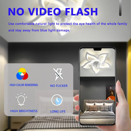 Remote control LED ceiling fan modern lamp with lamp remote control fan 69cm