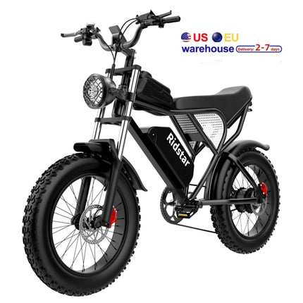 Q20 20 Inch Electric Bike 1000W 48V Electric Mountain Dirt Bike Fat Tire Ebike Electric Bicycle for Adult