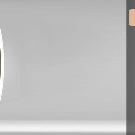 LED Bathroom Mirror 800mm Round Wall Mirror Bluetooth Colour Dimmable Front+Backlit Anti-fog Memory Time Temperature Display