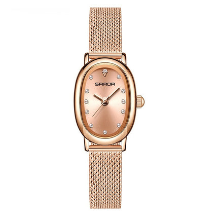 Women's European And American Watch Quartz Leather Steel Belt Waterproof