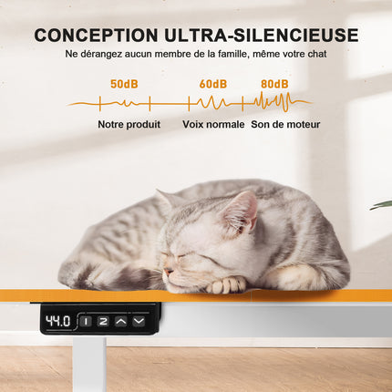 Electric Sit-Stand Desk 160 x 70, Height-Adjustable Table with 2 Memory Settings for Office and Bedroom