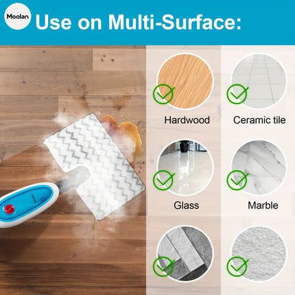 MultiPurpose Powerful Steam Detachable Floor Steamer for Hardwood