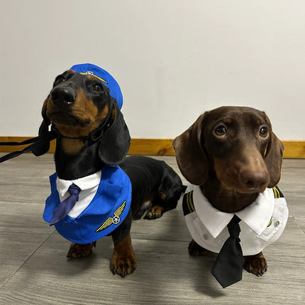Dachshund Dog Funny Clothes Halloween Suit