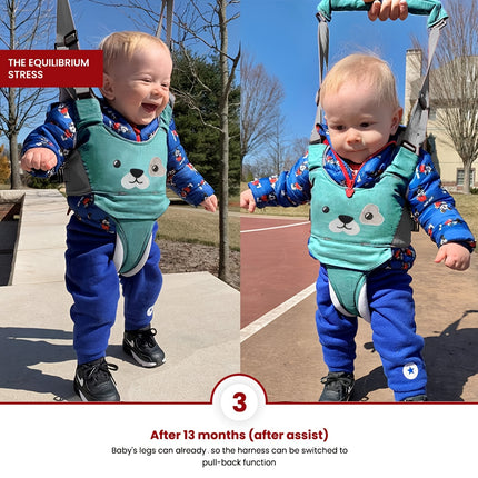 Baby Walker with Detachable Crotch & Adjustable Straps - Ergonomic Design for 9-24 Months, Green