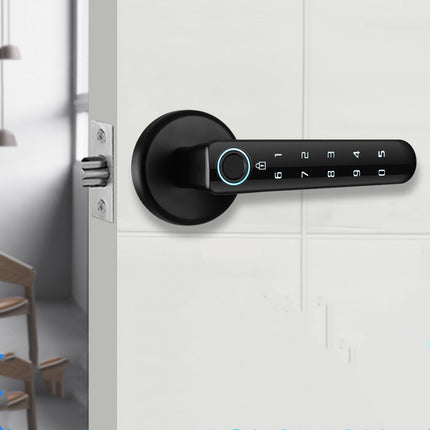 Indoor Split Electronic Fingerprint Lock