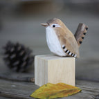 Winter wren