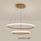 Gold 54W 40x60CM / White light