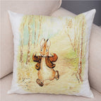 25 Colors / 45 X45cm Without Pillow