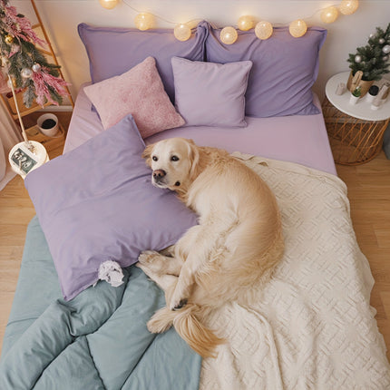 Queen Sheet Set, Fitted Sheet Set, King Comforter Set, Bedding Set, Extra Thick Warm Blanket