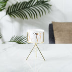 Matte white trumpet / Gold shelf