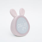 Pink / Manual Chinese and English / USB