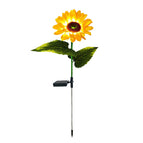 Single Head Sunflower