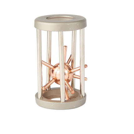 Educational Toys Thorn Cage Lock