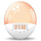 Basic model Two sets of alarm / USB