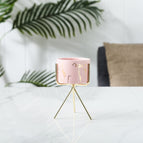 Pink trumpet / Gold shelf