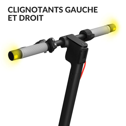 5TH WHEEL Electric Scooter for Adults | 350W 25Km/H Compliant with FR Standards