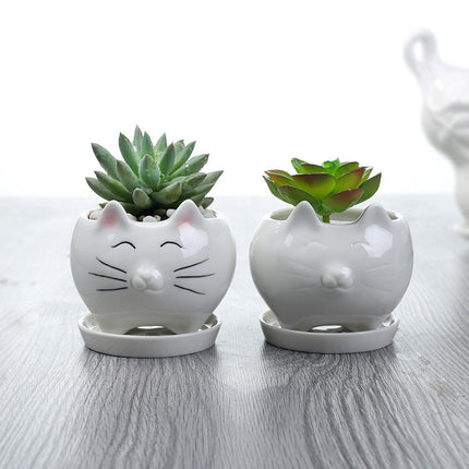 Creative Gardening Balcony Succulent Ceramic Flowerpot Decoration