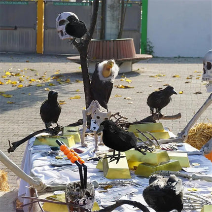 Black Crow Halloween Black Crow - GARDIWALL