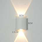 White / 2W / White light