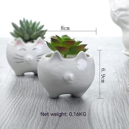 Creative Gardening Balcony Succulent Ceramic Flowerpot Decoration