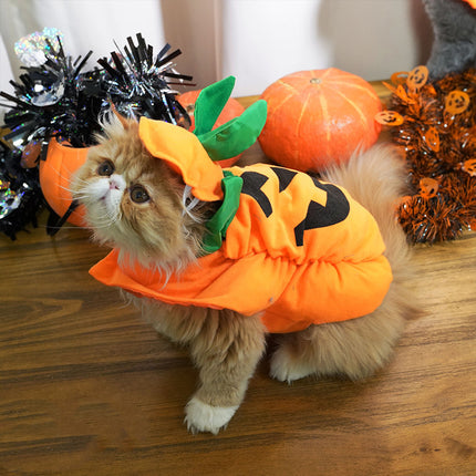 Halloween Weird Pumpkin Shape Transformation Clothes