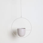Apricot / Round shape