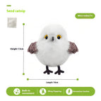 Titmouse / Color Box