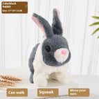 Color Matching Rabbit Gray