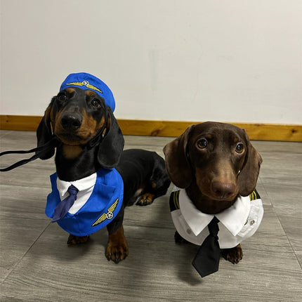 Dachshund Dog Funny Clothes Halloween Suit