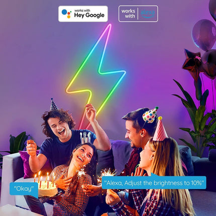 12V24V Bluetooth WIFI5 M RGBIC Colorful Music Neon Light