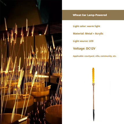 Solar Outdoor LED Plug Lawn Lamp