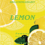 Lemon / 1PCS