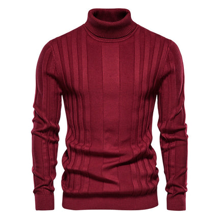 Men's Turtleneck Sweater Casual Knit Solid Color Pullover