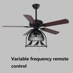 Bird cage payment / Variable frequency remote cont
