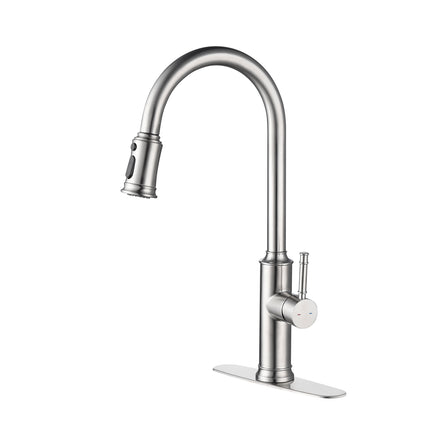 Kitchen Faucet with Pull Out Spraye