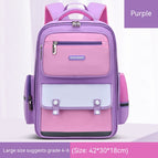 Purple / Large