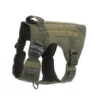 Army Green / M