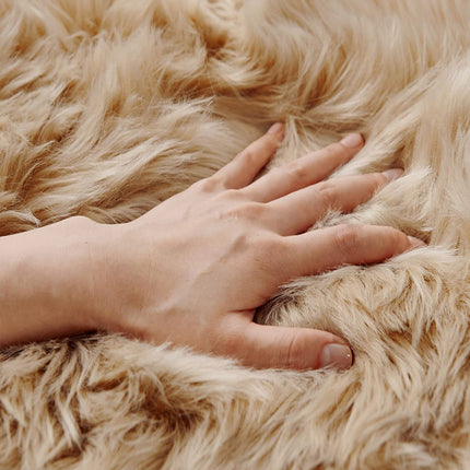 1 Plush Carpet Rug for Home Decor - Soft and Fluffy for Bedroom, Living Room, Study, and Hallway