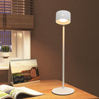 White / Table Lamp / Tricolor Light