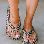 Leopard / 37