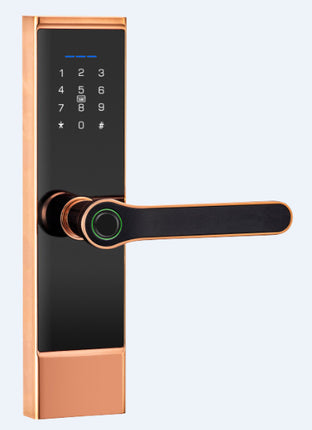 Password Card Chinese And English WIFI Graffiti Bluetooth TTLOC Fingerprint Lock