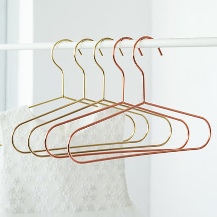 Li Fengwu Ins Metal Small Hanger Child Hanger Baby Household